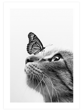 Kedi - Art Print